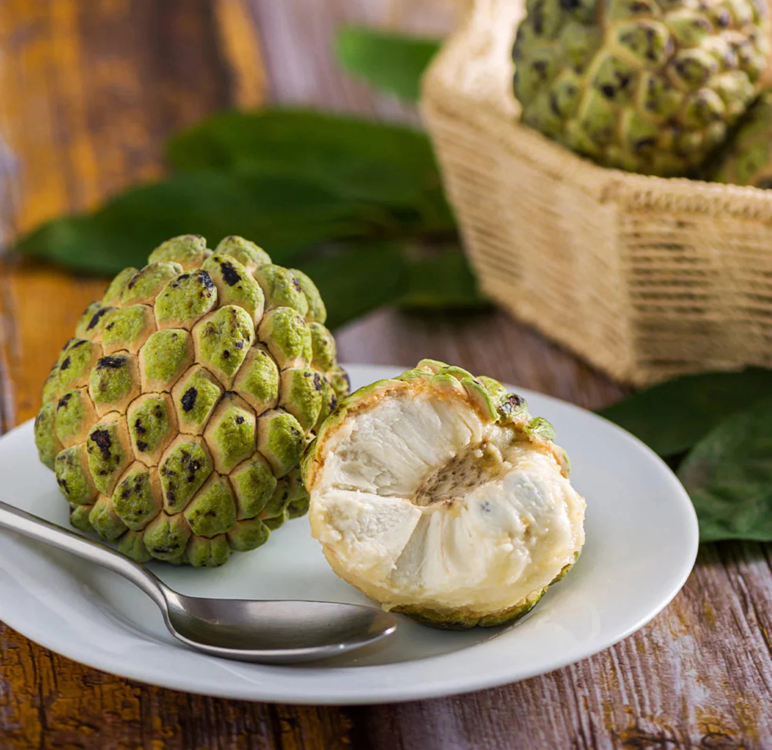 Sugar Apple Tree (3-5 Ft, 7 Gallons) | Grafted