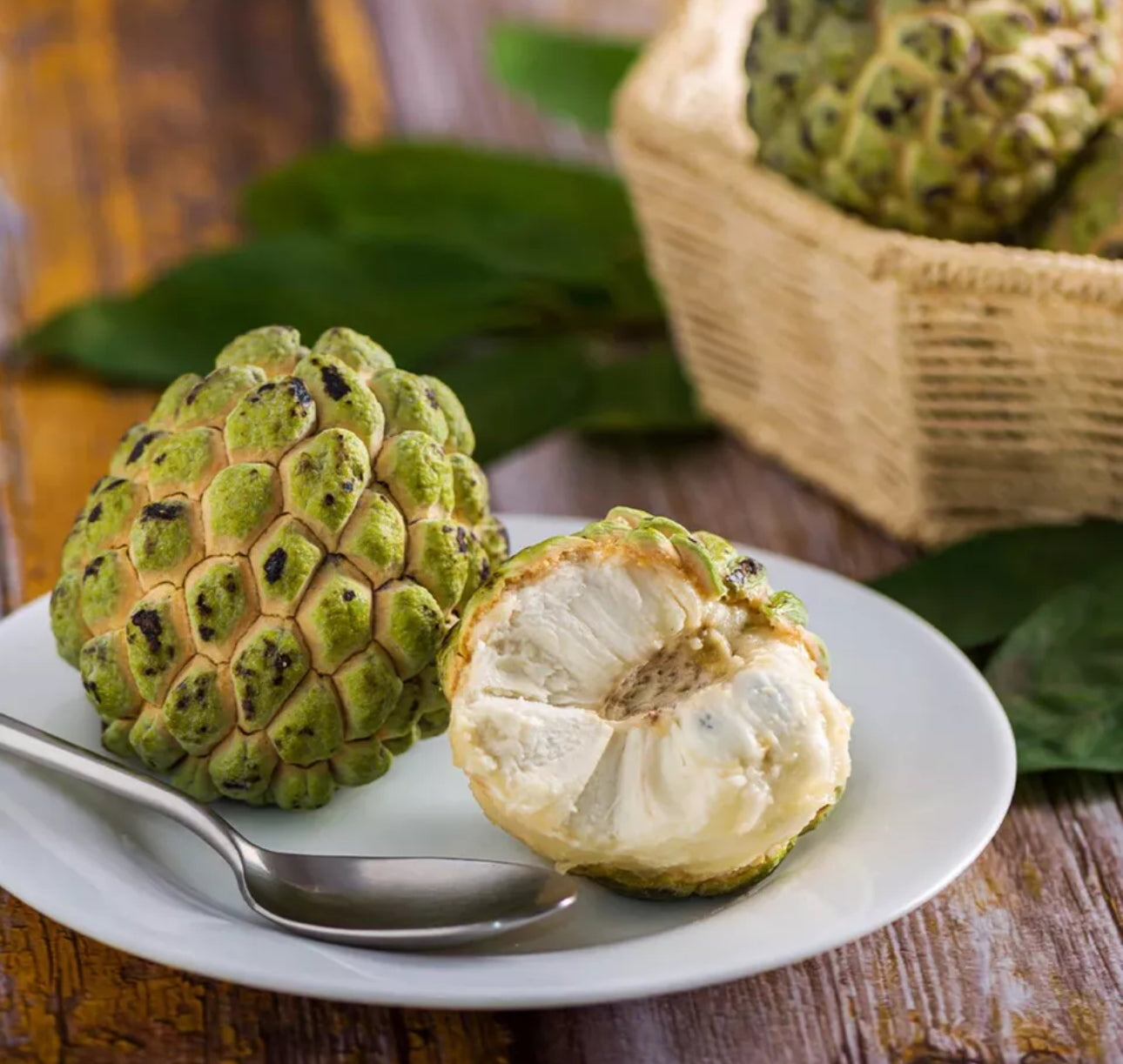 Sugar Apple Grafted Tree 2-4 Ft Tall. Ship To CA&PR