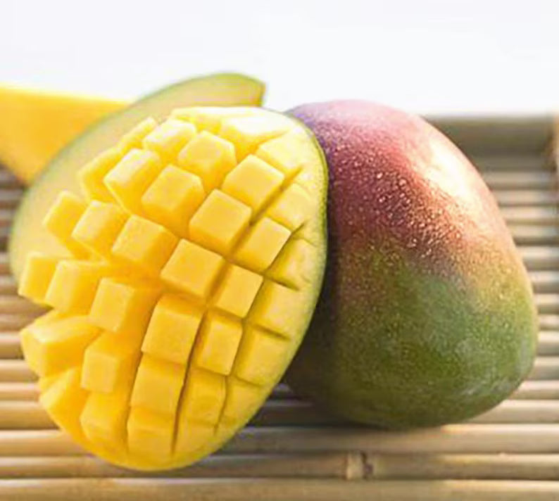 Buy Carrie Semi-Dwarf Mango Tree (2-4 Ft) | Grafted Variety