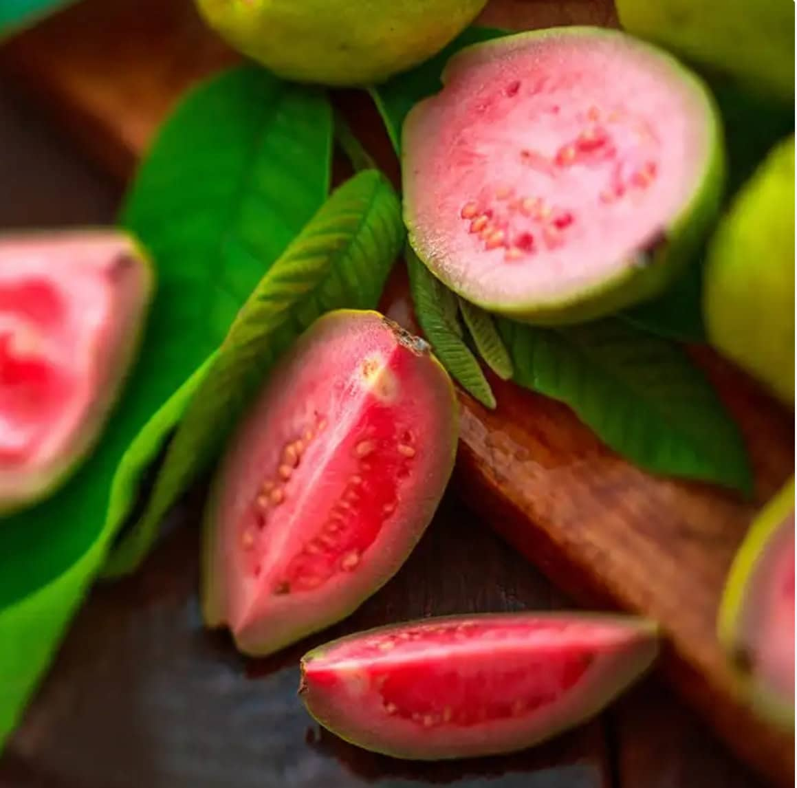 Strawberry Guava Tree in Pot (Grafted) | Lush & Tropical